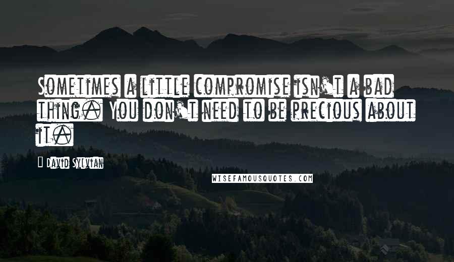 David Sylvian Quotes: Sometimes a little compromise isn't a bad thing. You don't need to be precious about it.