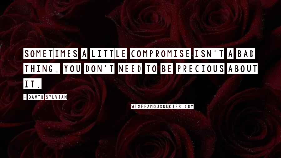 David Sylvian Quotes: Sometimes a little compromise isn't a bad thing. You don't need to be precious about it.