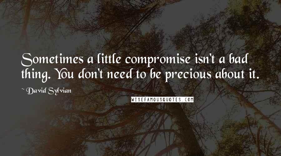 David Sylvian Quotes: Sometimes a little compromise isn't a bad thing. You don't need to be precious about it.