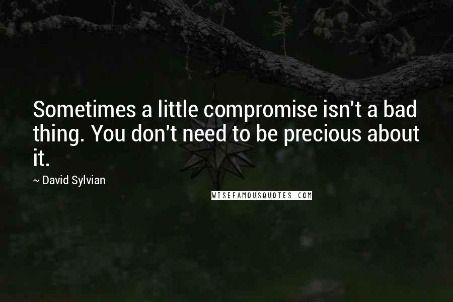 David Sylvian Quotes: Sometimes a little compromise isn't a bad thing. You don't need to be precious about it.