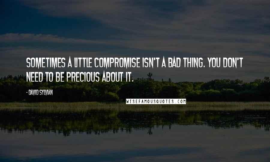 David Sylvian Quotes: Sometimes a little compromise isn't a bad thing. You don't need to be precious about it.