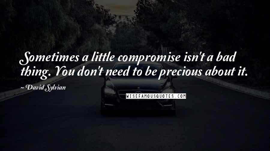 David Sylvian Quotes: Sometimes a little compromise isn't a bad thing. You don't need to be precious about it.