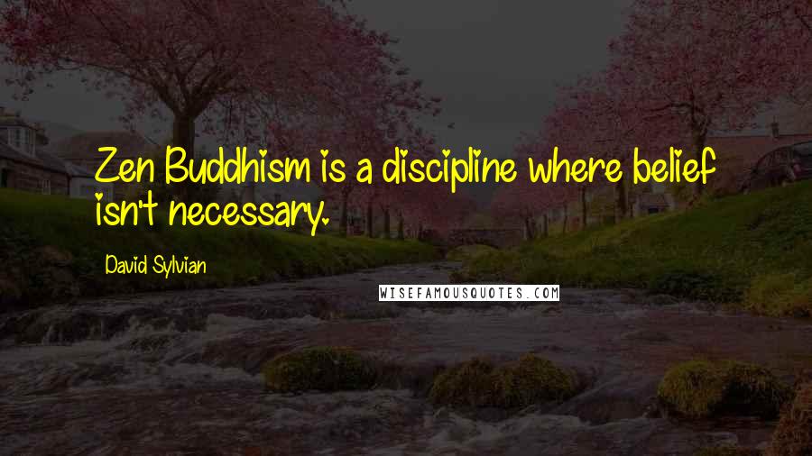 David Sylvian Quotes: Zen Buddhism is a discipline where belief isn't necessary.