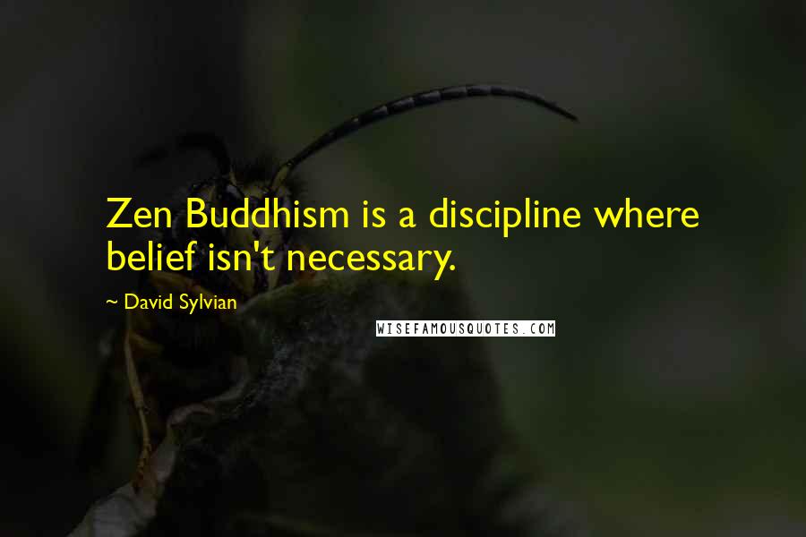 David Sylvian Quotes: Zen Buddhism is a discipline where belief isn't necessary.