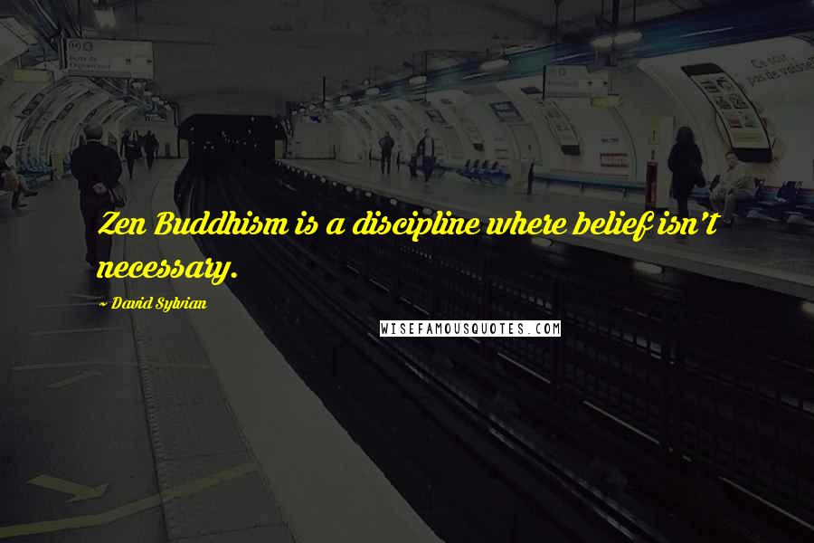 David Sylvian Quotes: Zen Buddhism is a discipline where belief isn't necessary.