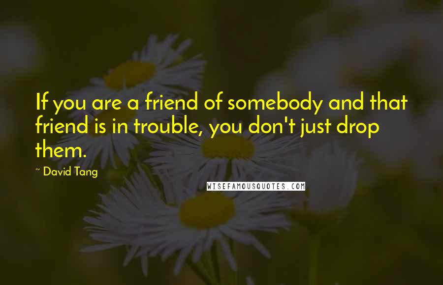 David Tang Quotes: If you are a friend of somebody and that friend is in trouble, you don't just drop them.