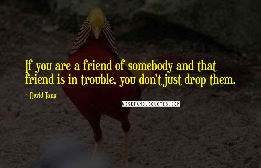 David Tang Quotes: If you are a friend of somebody and that friend is in trouble, you don't just drop them.