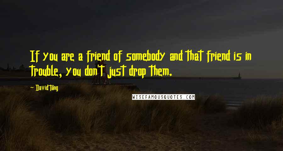 David Tang Quotes: If you are a friend of somebody and that friend is in trouble, you don't just drop them.