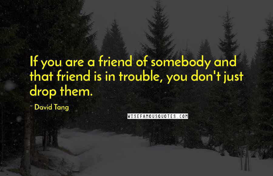 David Tang Quotes: If you are a friend of somebody and that friend is in trouble, you don't just drop them.