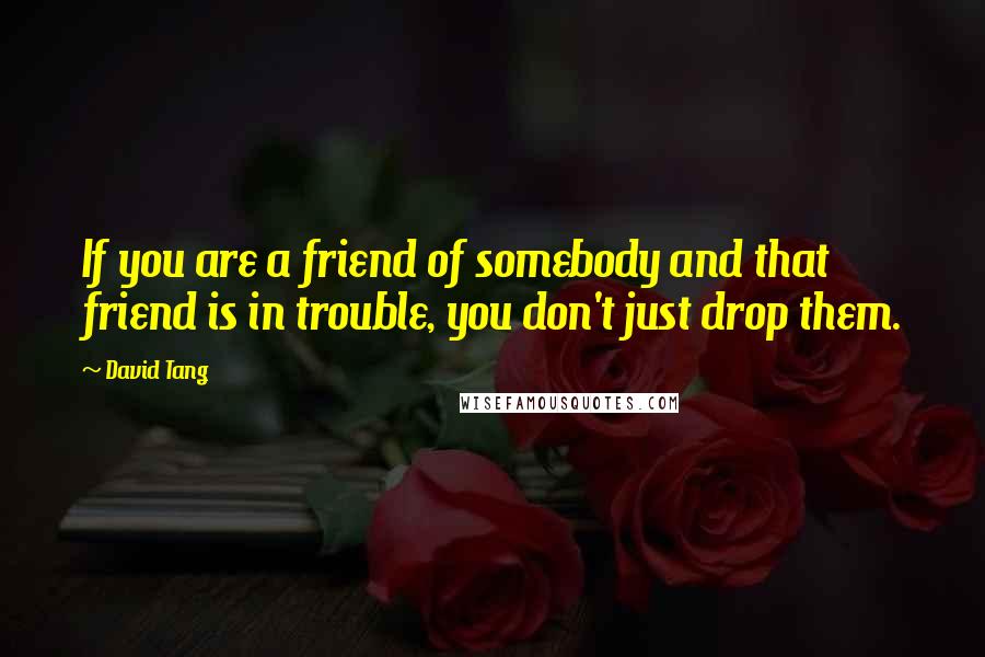 David Tang Quotes: If you are a friend of somebody and that friend is in trouble, you don't just drop them.