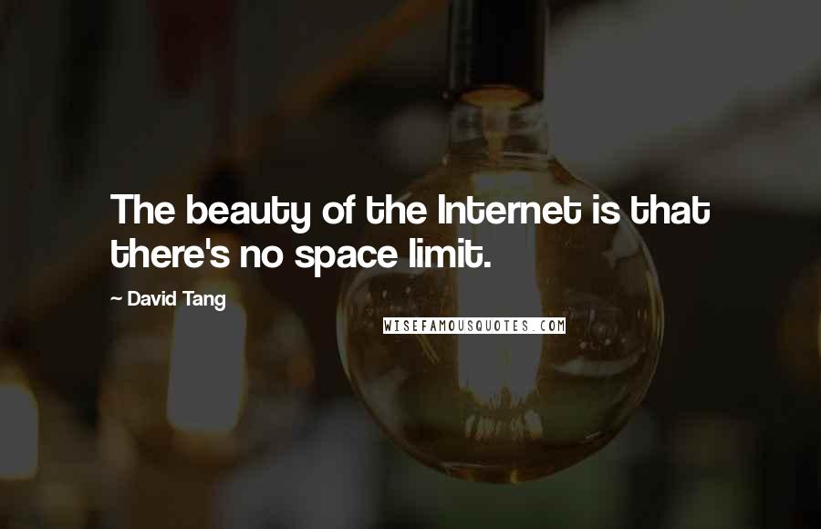 David Tang Quotes: The beauty of the Internet is that there's no space limit.