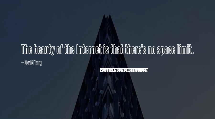 David Tang Quotes: The beauty of the Internet is that there's no space limit.