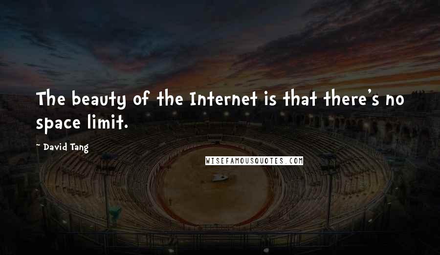 David Tang Quotes: The beauty of the Internet is that there's no space limit.