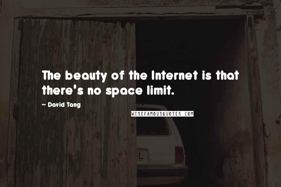 David Tang Quotes: The beauty of the Internet is that there's no space limit.