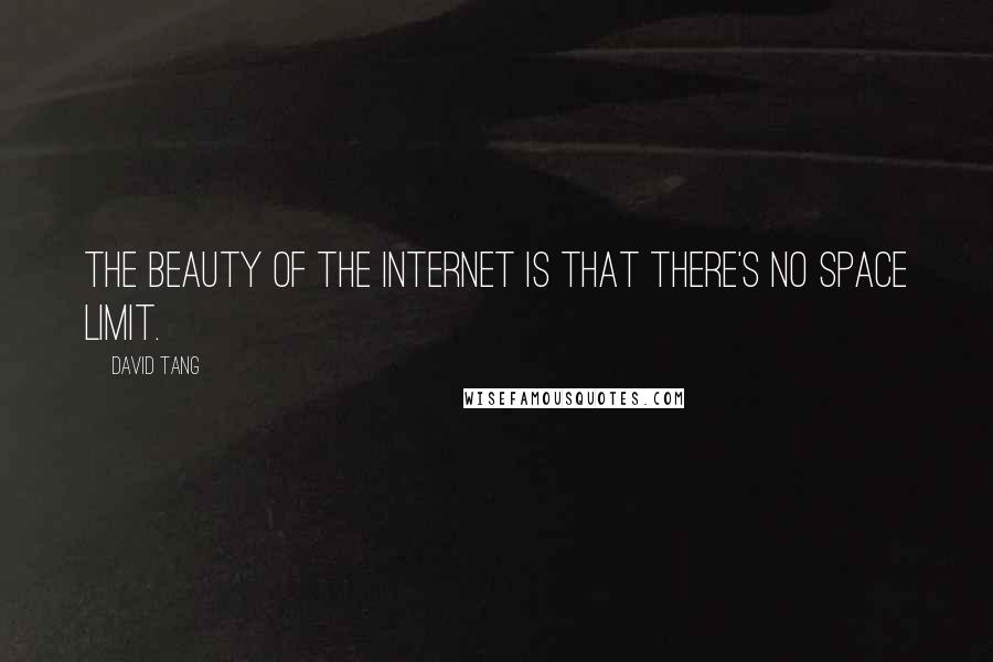 David Tang Quotes: The beauty of the Internet is that there's no space limit.