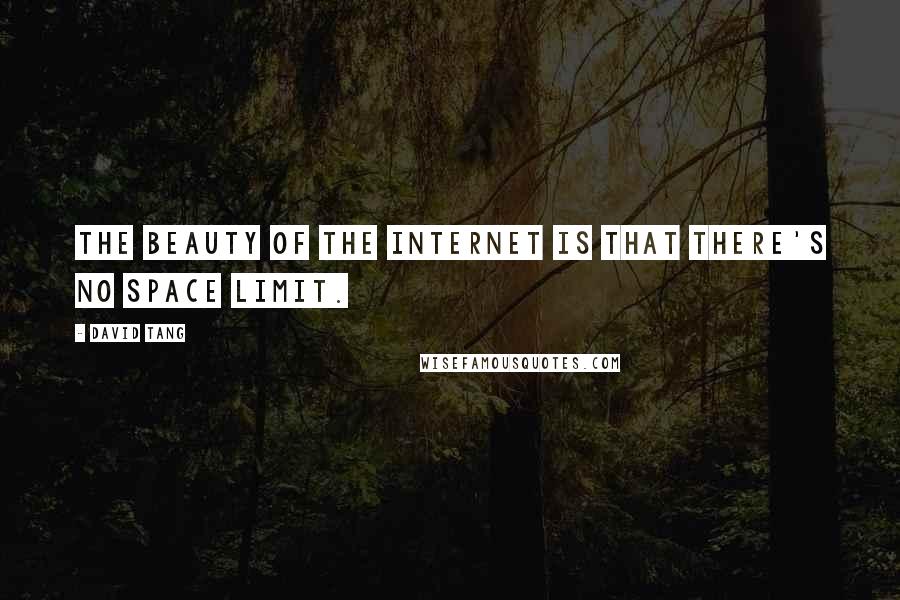 David Tang Quotes: The beauty of the Internet is that there's no space limit.