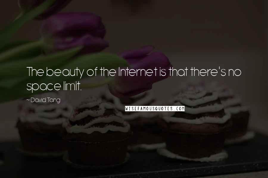David Tang Quotes: The beauty of the Internet is that there's no space limit.