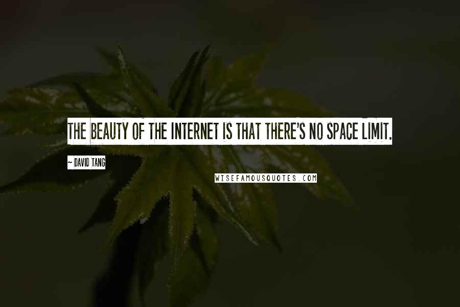 David Tang Quotes: The beauty of the Internet is that there's no space limit.