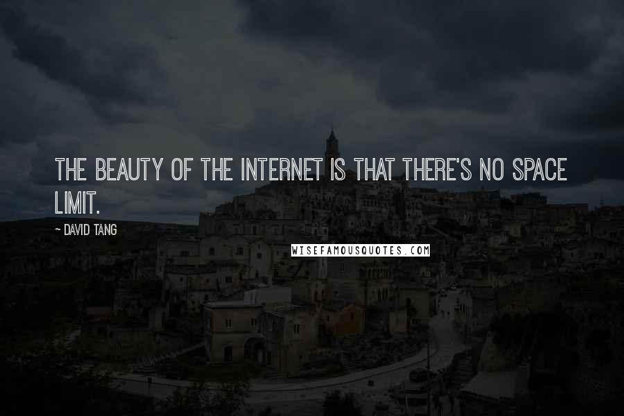 David Tang Quotes: The beauty of the Internet is that there's no space limit.