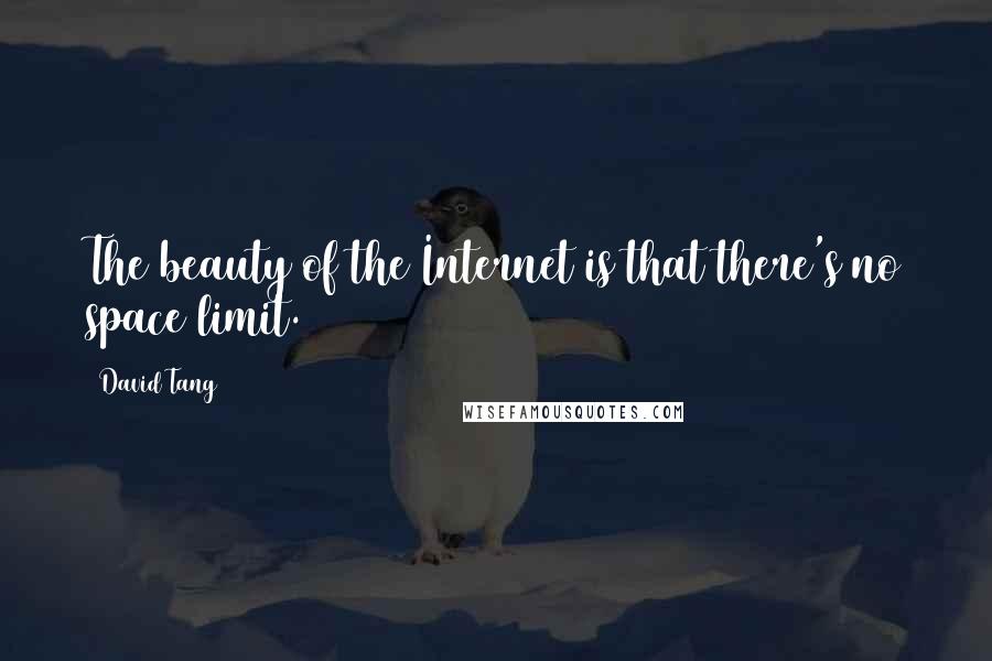 David Tang Quotes: The beauty of the Internet is that there's no space limit.