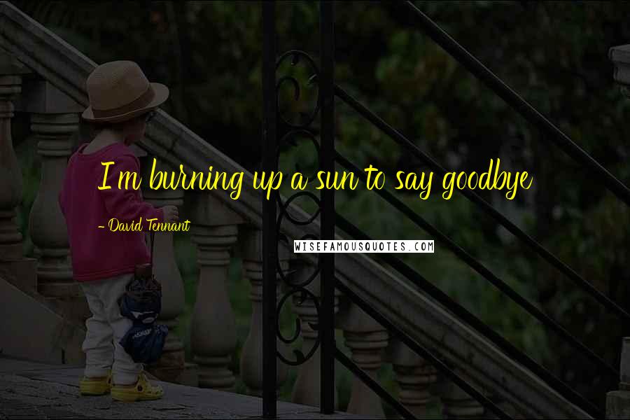 David Tennant Quotes: I'm burning up a sun to say goodbye