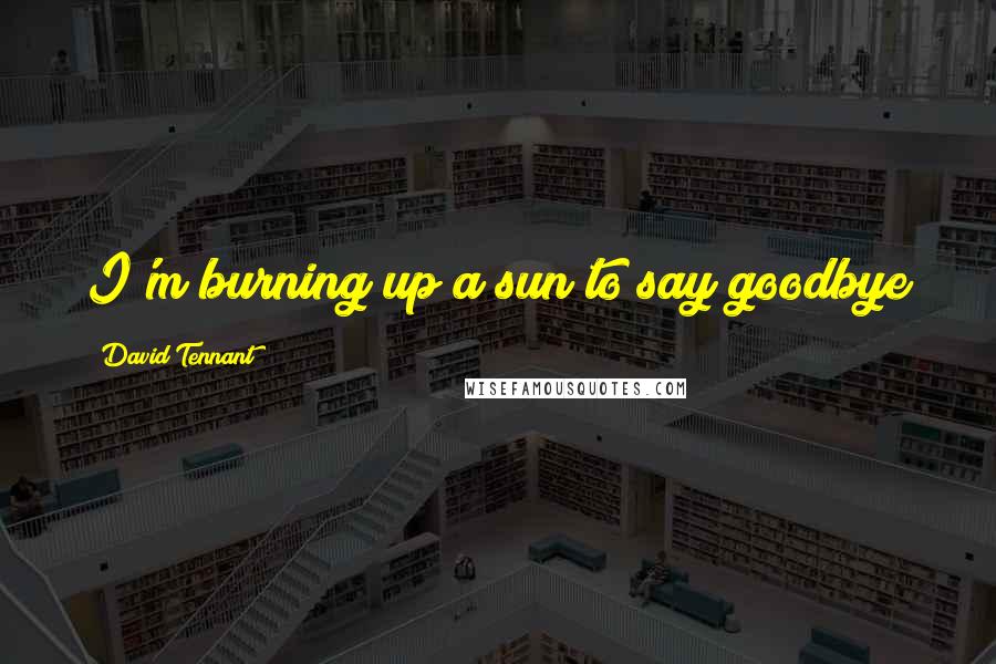 David Tennant Quotes: I'm burning up a sun to say goodbye