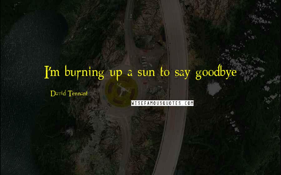 David Tennant Quotes: I'm burning up a sun to say goodbye