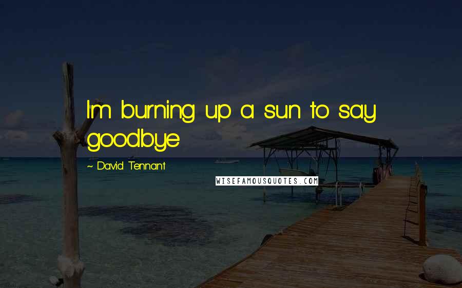 David Tennant Quotes: I'm burning up a sun to say goodbye