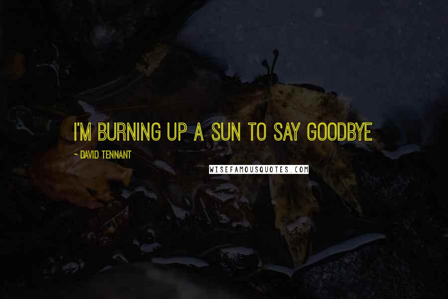 David Tennant Quotes: I'm burning up a sun to say goodbye