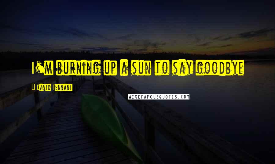 David Tennant Quotes: I'm burning up a sun to say goodbye