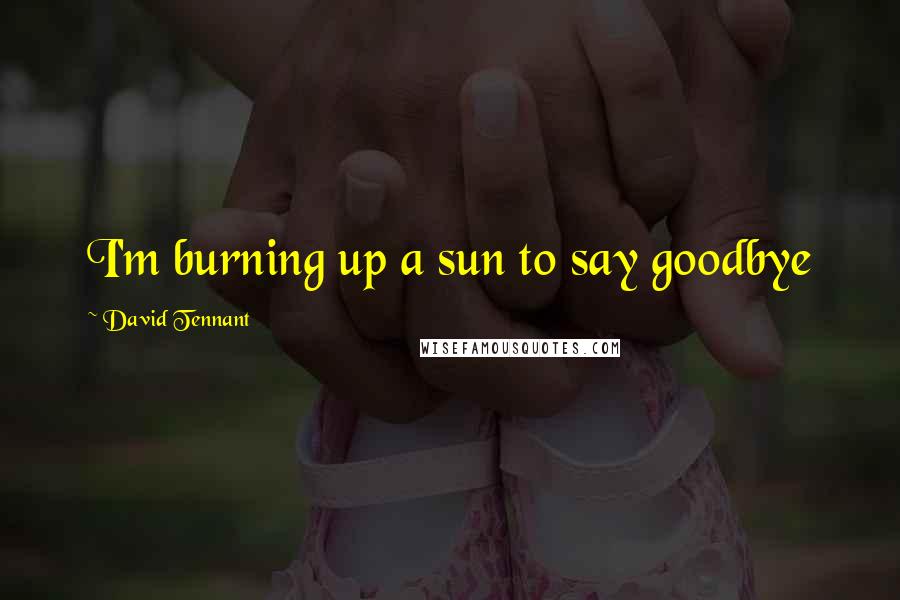 David Tennant Quotes: I'm burning up a sun to say goodbye