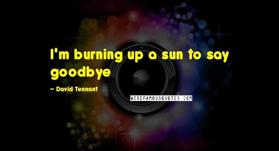 David Tennant Quotes: I'm burning up a sun to say goodbye