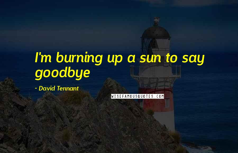 David Tennant Quotes: I'm burning up a sun to say goodbye