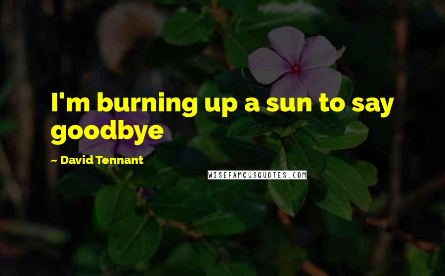 David Tennant Quotes: I'm burning up a sun to say goodbye