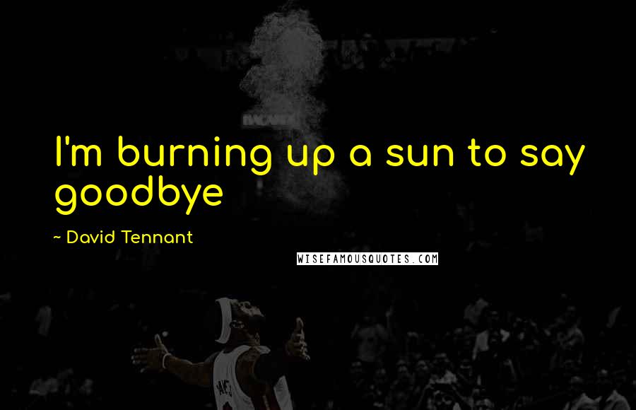 David Tennant Quotes: I'm burning up a sun to say goodbye