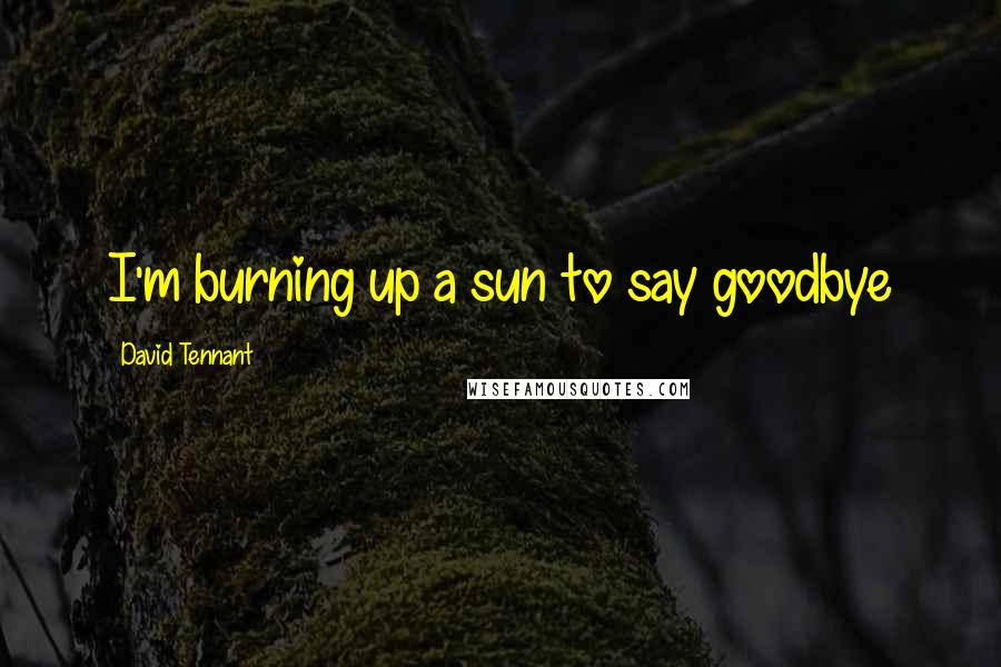 David Tennant Quotes: I'm burning up a sun to say goodbye