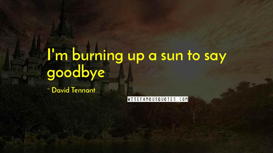 David Tennant Quotes: I'm burning up a sun to say goodbye