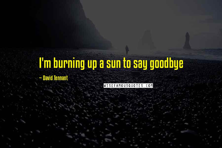 David Tennant Quotes: I'm burning up a sun to say goodbye