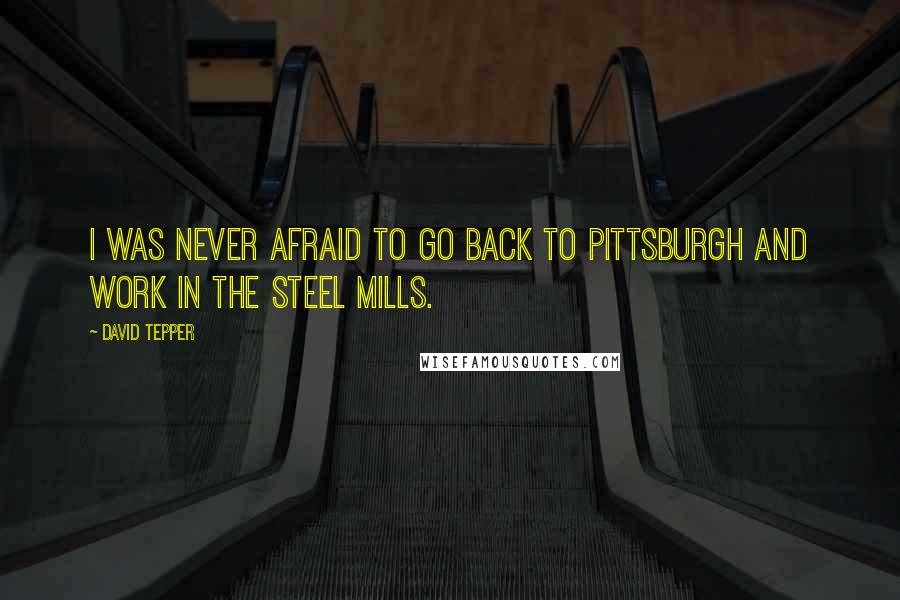 David Tepper Quotes: I was never afraid to go back to Pittsburgh and work in the steel mills.