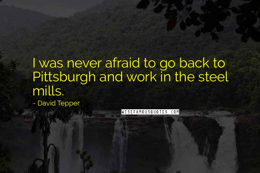 David Tepper Quotes: I was never afraid to go back to Pittsburgh and work in the steel mills.