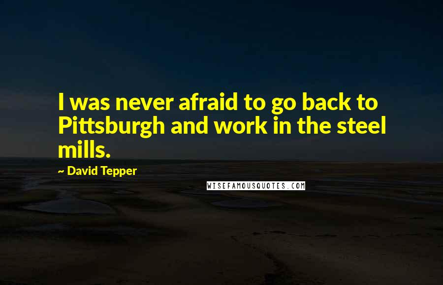 David Tepper Quotes: I was never afraid to go back to Pittsburgh and work in the steel mills.