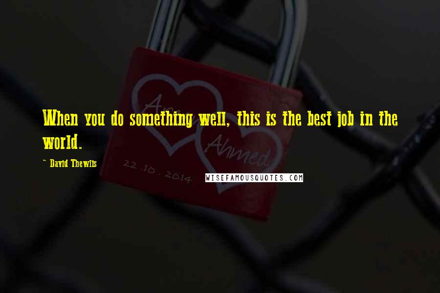 David Thewlis Quotes: When you do something well, this is the best job in the world.