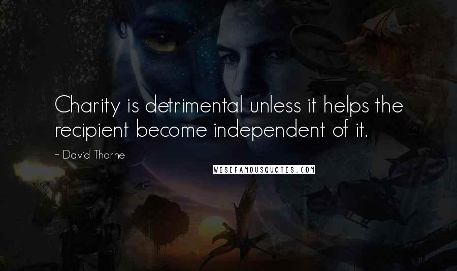 David Thorne Quotes: Charity is detrimental unless it helps the recipient become independent of it.