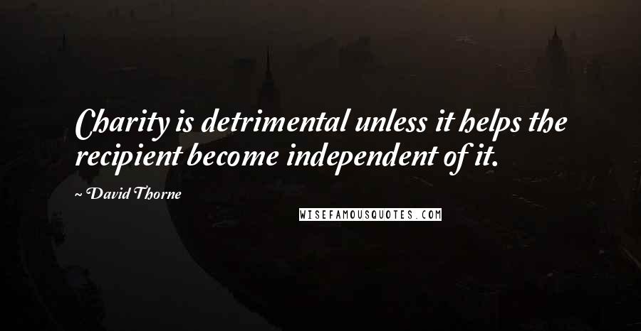 David Thorne Quotes: Charity is detrimental unless it helps the recipient become independent of it.