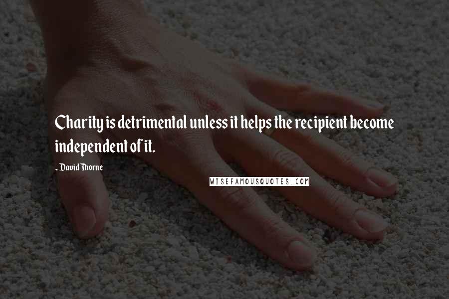 David Thorne Quotes: Charity is detrimental unless it helps the recipient become independent of it.