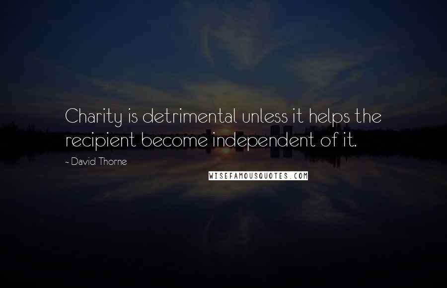 David Thorne Quotes: Charity is detrimental unless it helps the recipient become independent of it.