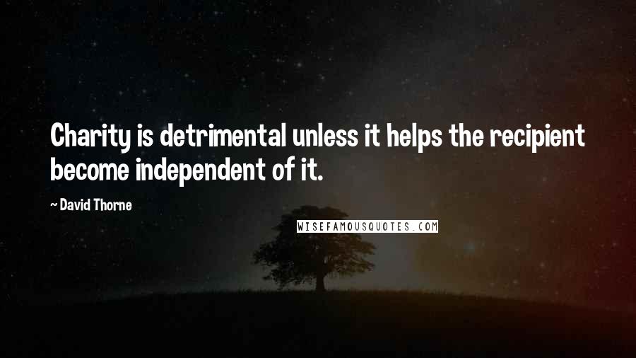 David Thorne Quotes: Charity is detrimental unless it helps the recipient become independent of it.