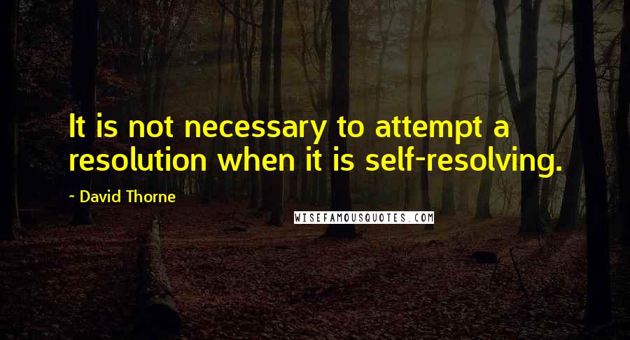 David Thorne Quotes: It is not necessary to attempt a resolution when it is self-resolving.