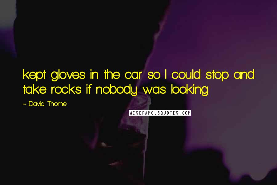 David Thorne Quotes: kept gloves in the car so I could stop and take rocks if nobody was looking.