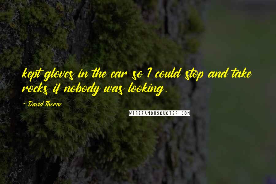 David Thorne Quotes: kept gloves in the car so I could stop and take rocks if nobody was looking.